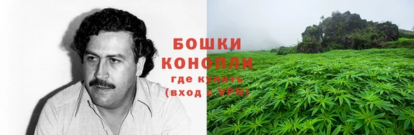 прущие крисы Козловка