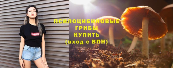 дмт Армянск