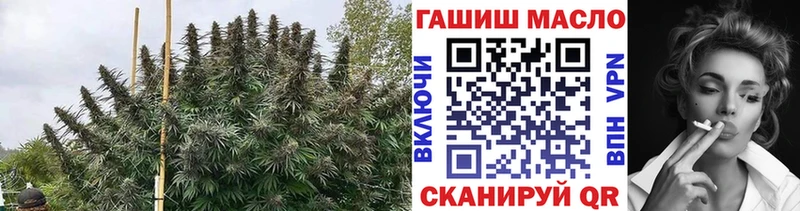 Дистиллят ТГК Wax  Козельск 