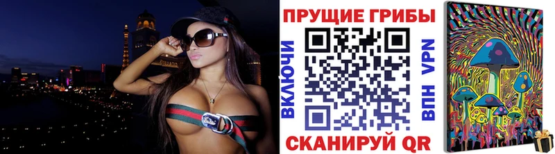 магазин продажи наркотиков  Козельск  Галлюциногенные грибы мицелий 